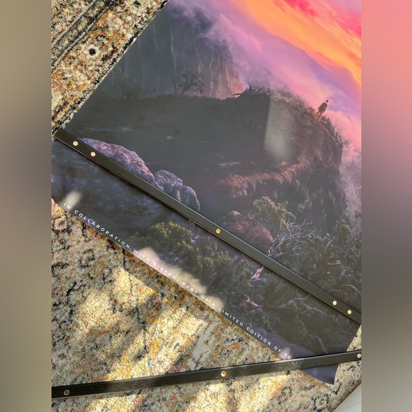 COPY - Ecstase “On Top of the World” Walltone Canvas Print - with Frame - Picture 5 of 8